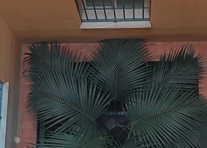 Adriano Boutique Séville